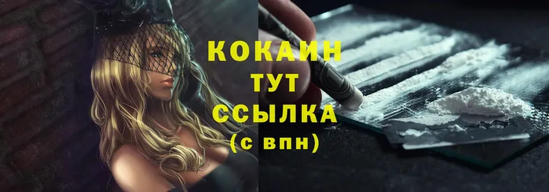 Cocaine FishScale  где продают   Лиски 